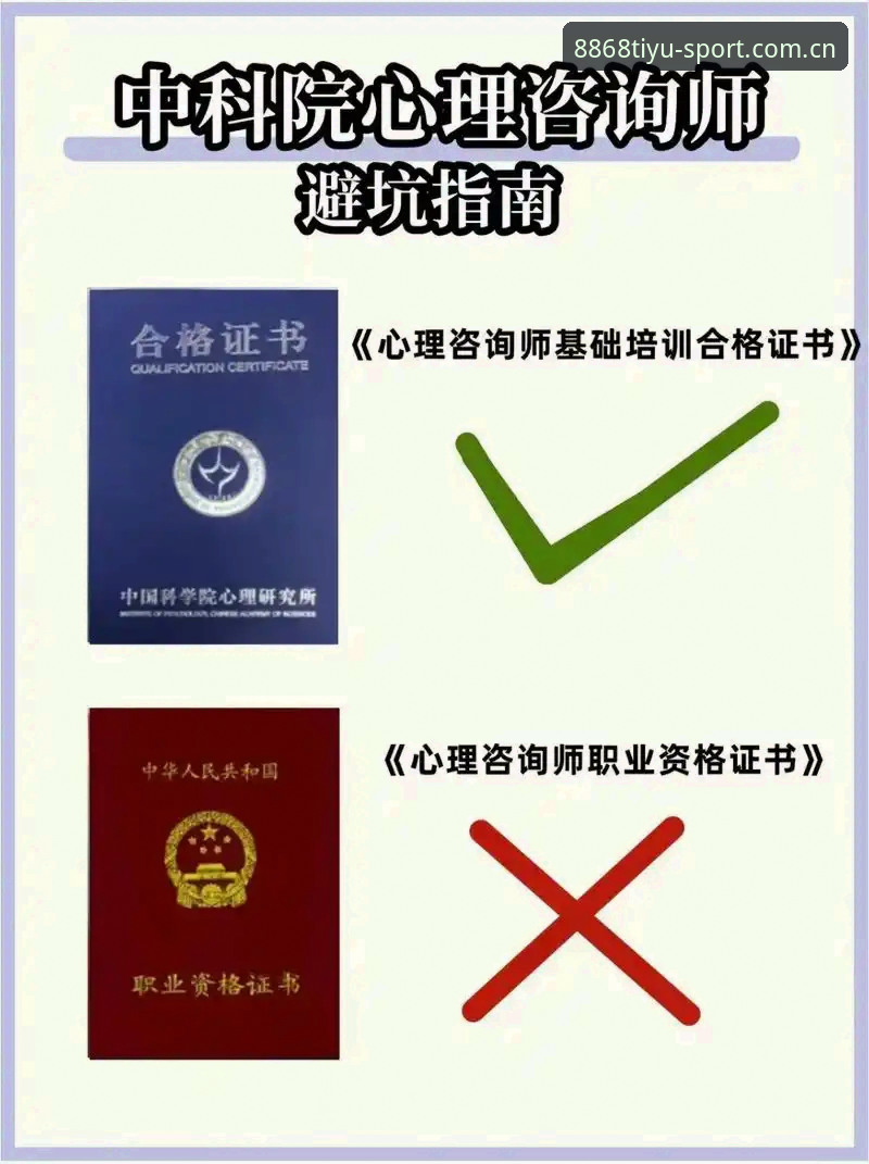 8868体育平台网页登录避坑指南：30%提速背后的操作细节全面解析